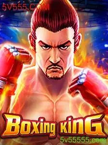 Explorando o Universo do BoxingKing